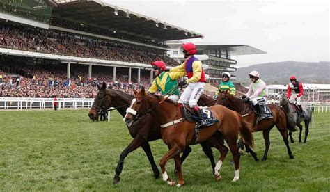cheltenham gold cup results 2022|cheltenham gold cup winners list.